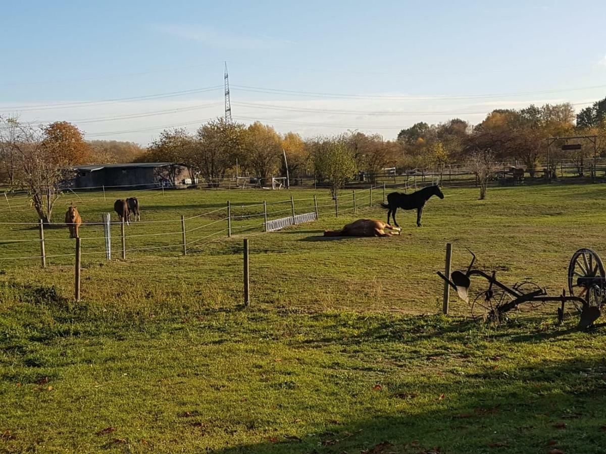 Muehlenberger Ponyhof Daire Duisburg Dış mekan fotoğraf